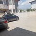 Delfinului, Ostrov,